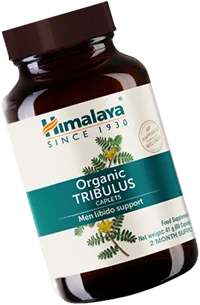 Himalaya Organic Tribulus ekologiskt kosttillskott 60 kapslar för vitalitet och prestanda